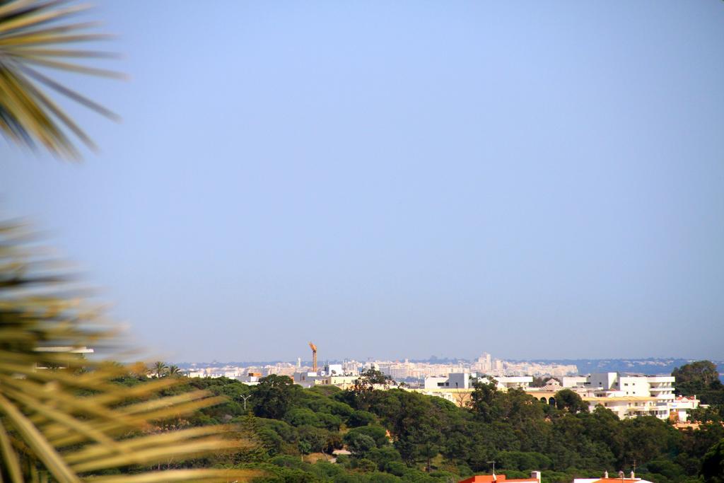 אלבופיירה Mshomes Corcovada מראה חיצוני תמונה